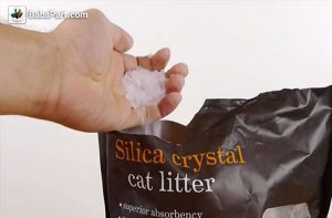 استفاده از خاک گربه جهت رفع بخار شیشه 